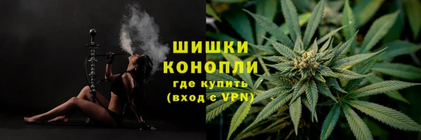 крисы Беломорск