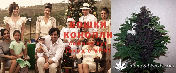 каннабис Белокуриха
