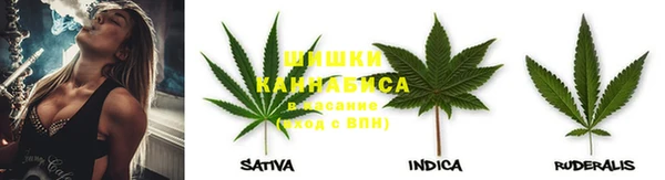 крисы Беломорск